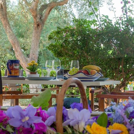 Casa Vacanze Il Bacio Piano di Sorrento Exteriér fotografie